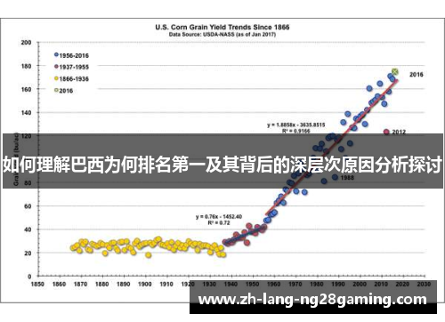 如何理解巴西为何排名第一及其背后的深层次原因分析探讨