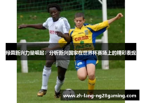 绿茵新兴力量崛起：分析新兴国家在世界杯赛场上的精彩表现