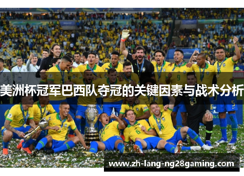 美洲杯冠军巴西队夺冠的关键因素与战术分析