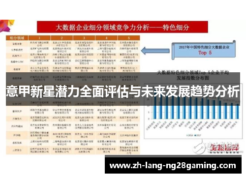 意甲新星潜力全面评估与未来发展趋势分析