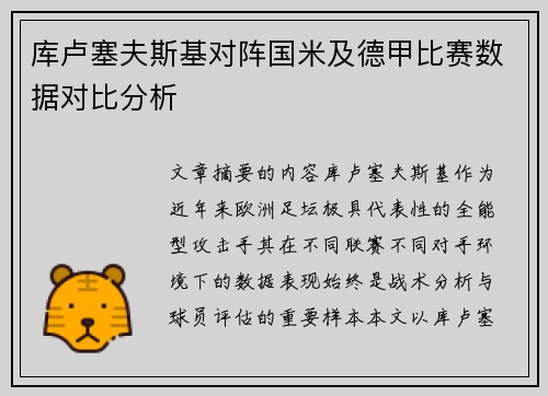 库卢塞夫斯基对阵国米及德甲比赛数据对比分析
